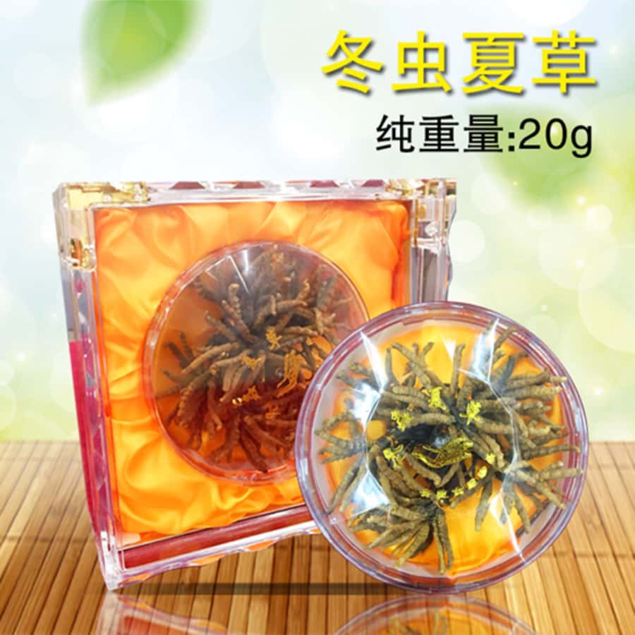 冬虫夏草(虫草)20g